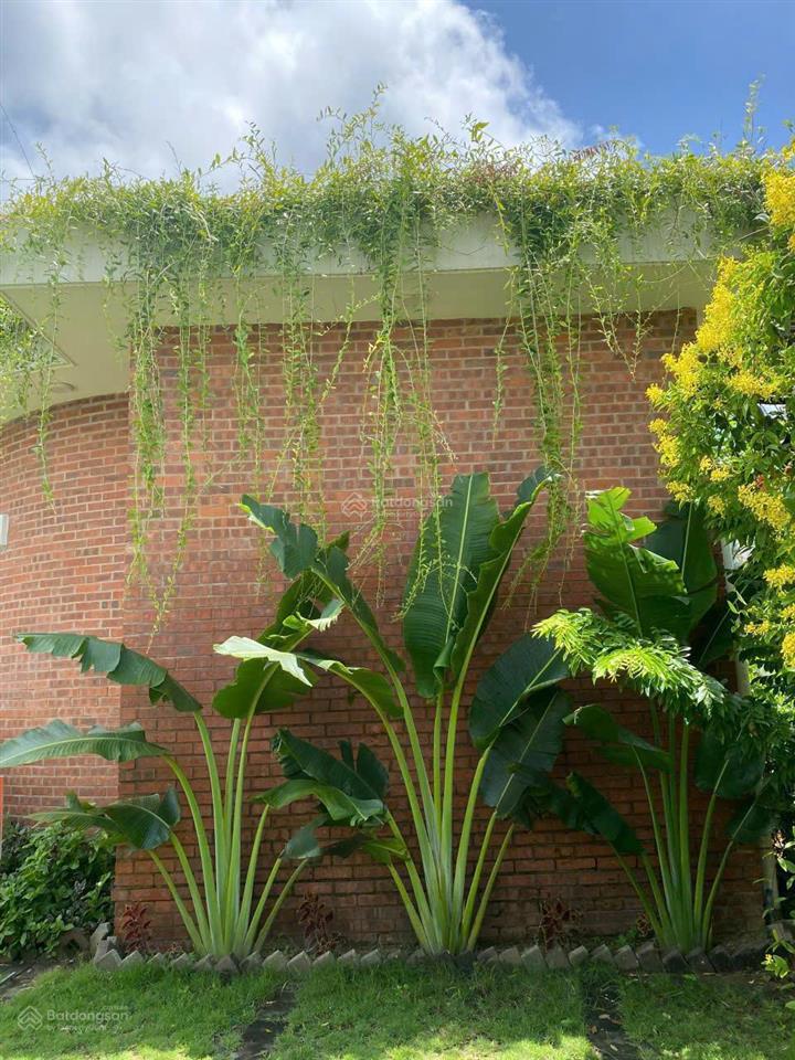 Bán gấp biệt thự biển siêu đẹp hoa tiên paradise, hà tĩnh 470m2. mt 30m. 11.9 tỷ siêu rẻ