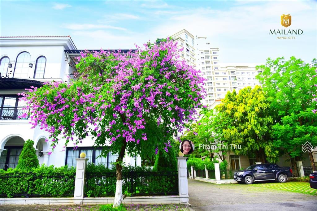 Bán shophouse kđt mailand hà nội city, an khánh 120m2. mt 8m. 5 tầng siêu đẹp. 35 tỷ