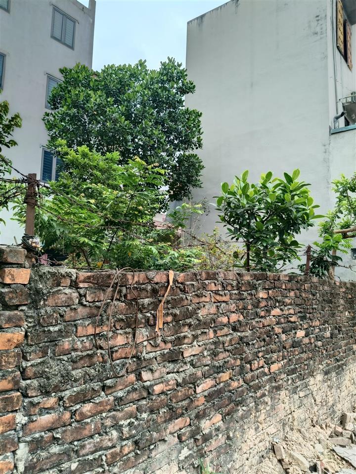 Thanh khoản nhanh 7 tỷ 54 m2 đất  ô tô  cạnh thiên đường bảo sơn, an khánh, hà nội