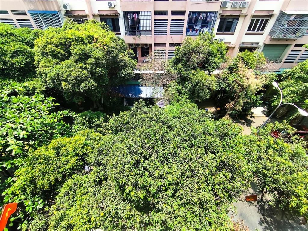 Chung cư tây thạnh dt 46m2 giá chỉ 2,25 tỷ sổ hồng riêng có sẵn. view công viên thoáng mát