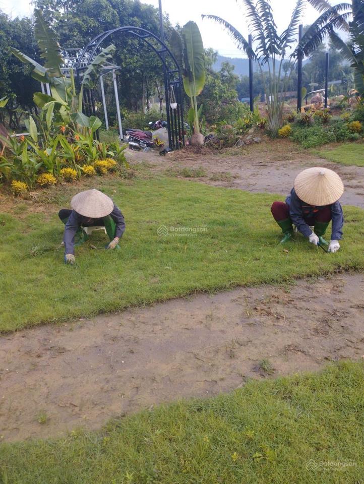 Chính chủ bán đất 80 m2, thôn thanh cao, xã ngọc thanh, phúc yên, vĩnh phúc, full đất ở