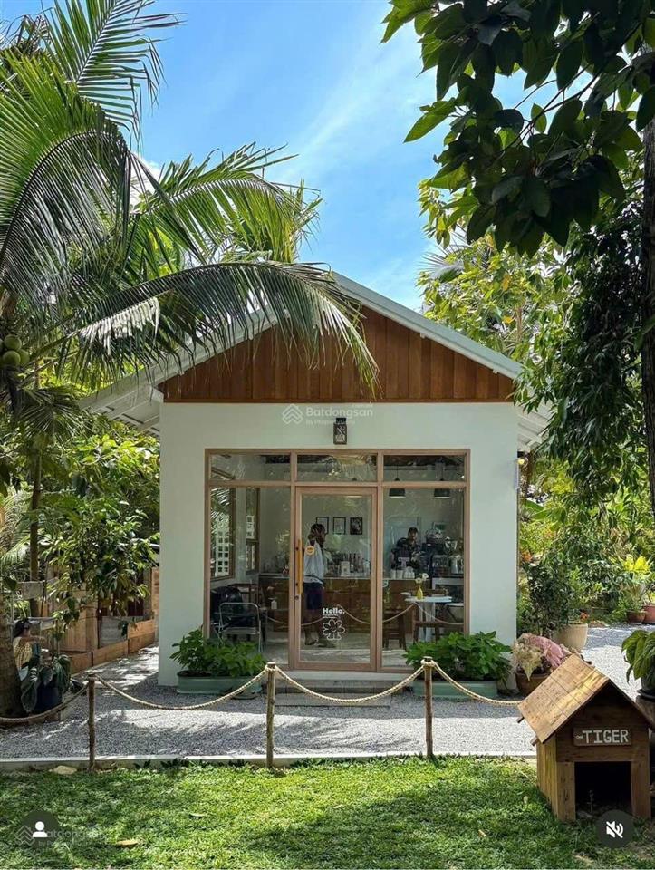 Chính chủ bán đất 80 m2, thôn thanh cao, xã ngọc thanh, phúc yên, vĩnh phúc, full đất ở