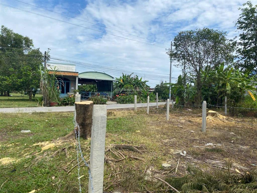 358m2 thổ cư mặt tiền đường xe hơi, mỹ hạnh nam, giá 2 tỷ 050tr, sổ riêng, đức hòa