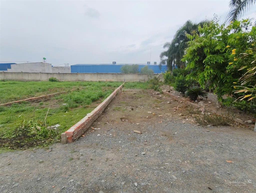 Bán nhanh lô đất 133m2, giá 900tr, sổ riêng, mỹ hạnh bắc, đức hòa