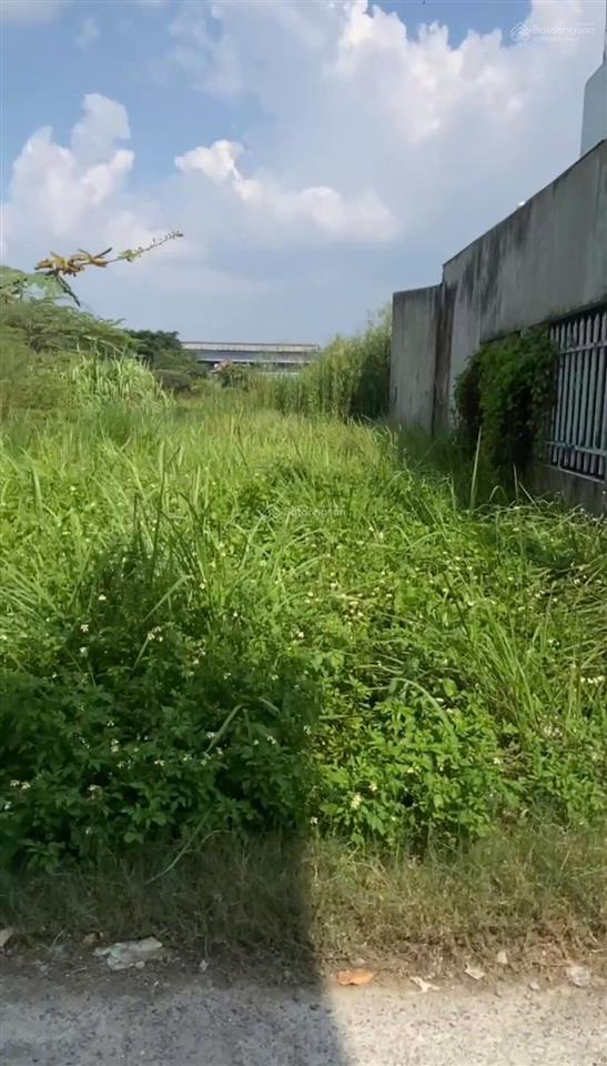 Bán đất thổ cư mỹ hạnh nam, 100m2, sổ riêng, cách gò hưu chỉ 200m, đức hòa, giá 1,3 tỷ