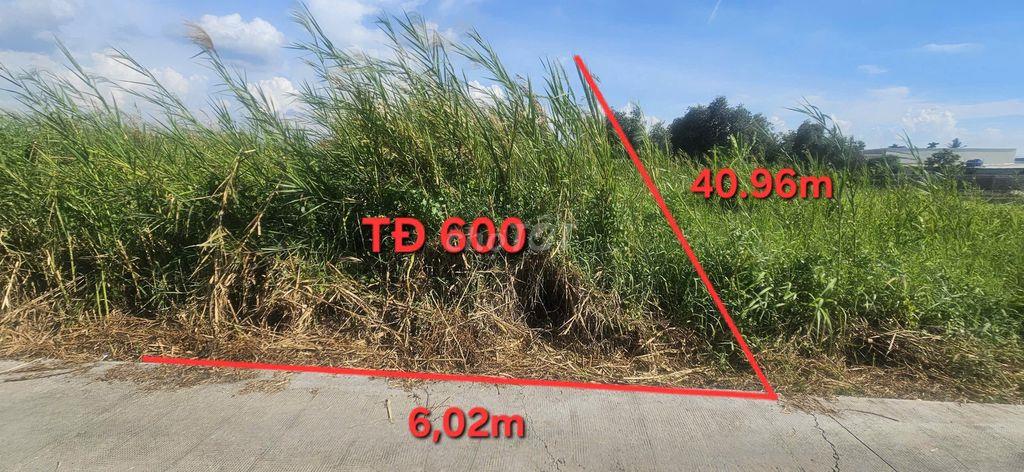 🔥Giá đầu tư cặp đất full thỗ 12x40 - Đoàn Nguyễn Tuấn