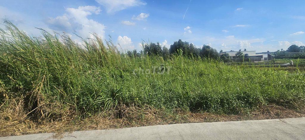 🔥Giá đầu tư cặp đất full thỗ 12x40 - Đoàn Nguyễn Tuấn
