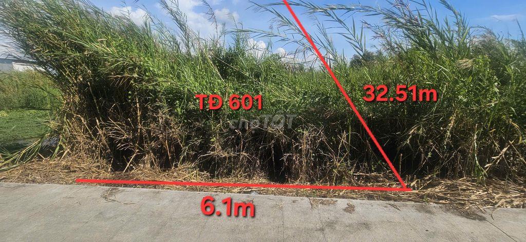 🔥Giá đầu tư cặp đất full thỗ 12x40 - Đoàn Nguyễn Tuấn