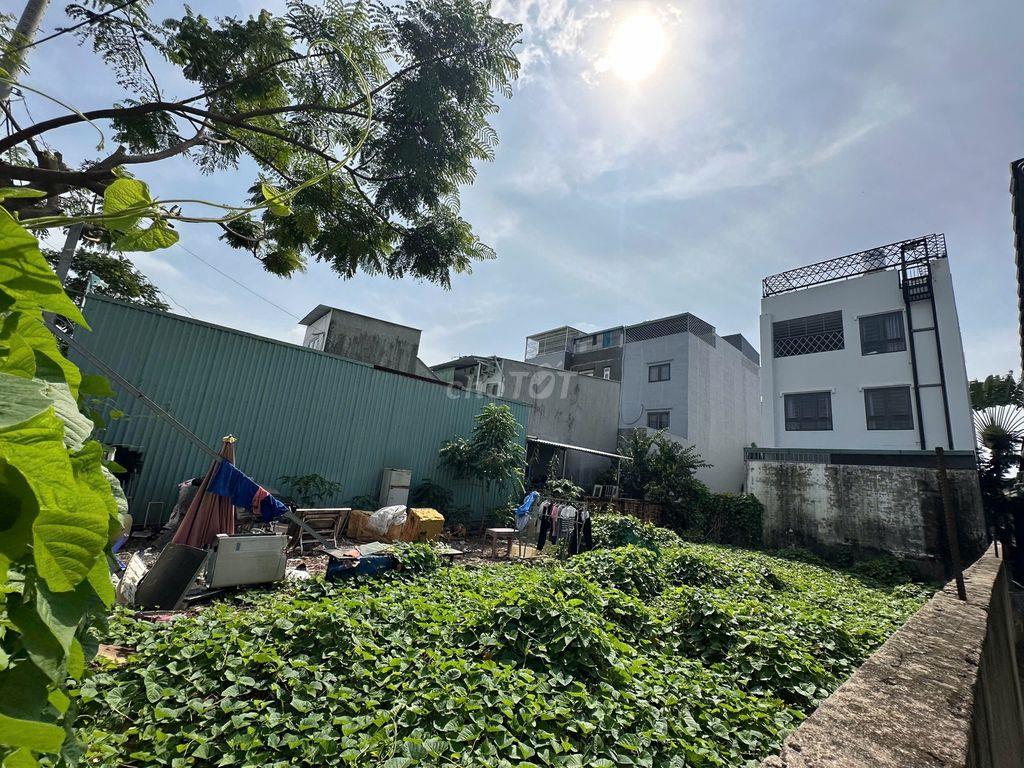 MT Đào Sư Tích (10x20) gần cầu Phước Lộc