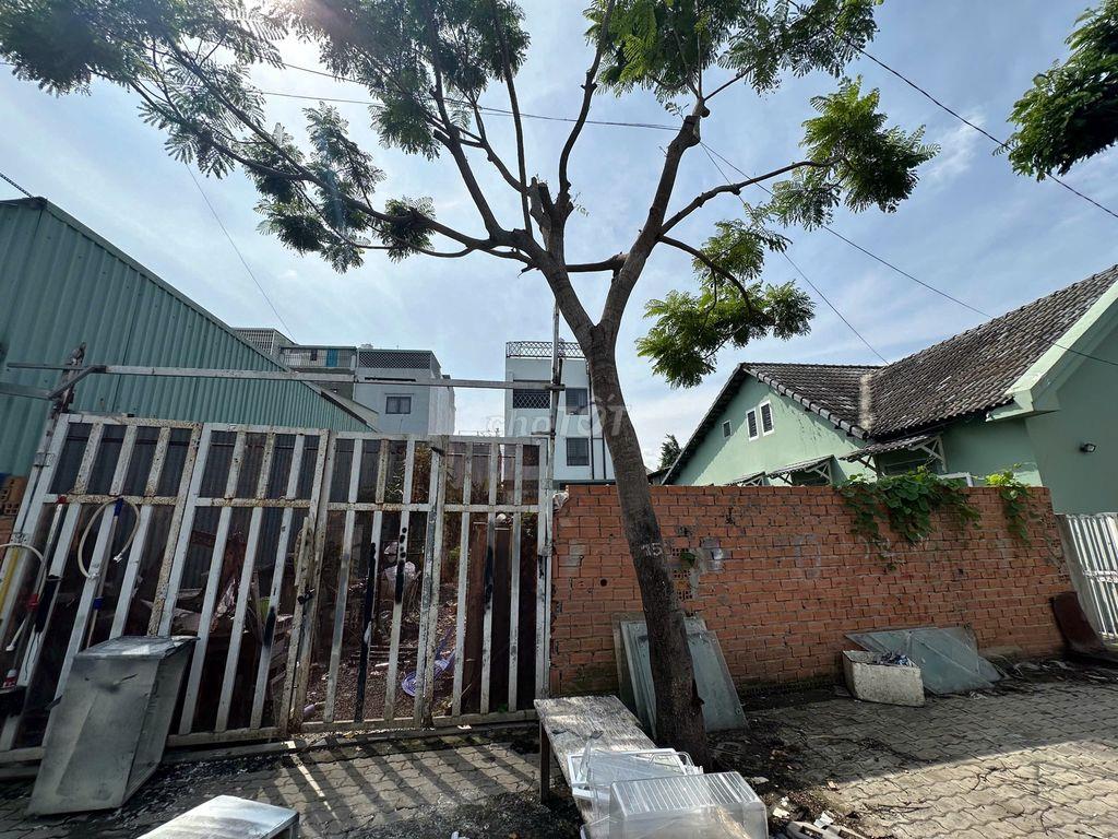 MT Đào Sư Tích (10x20) gần cầu Phước Lộc