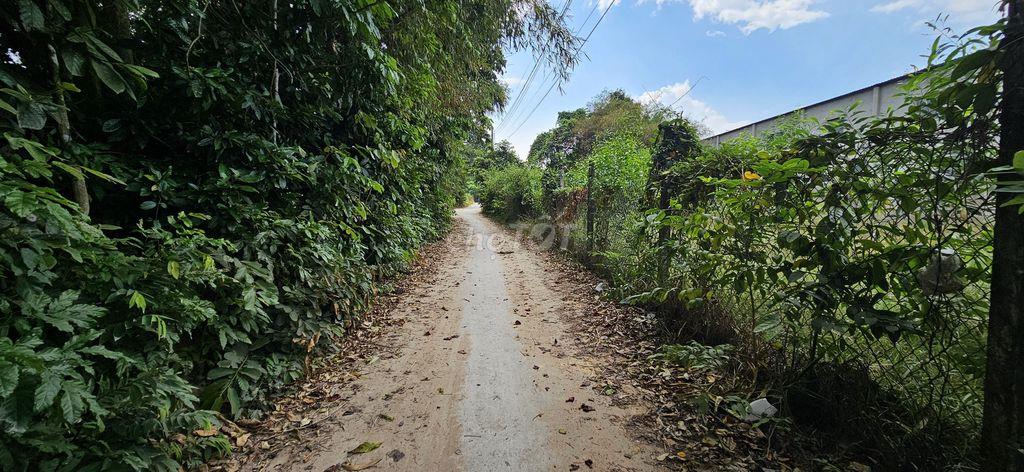 34m ngang đất xây dựng dãy trọ cách KCN TTC 1,5KM