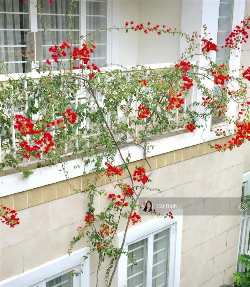 Độc quyền bán biệt thự góc 2 mặt tiền khu compound vip trần não, p. an khánh, tp. thủ đức