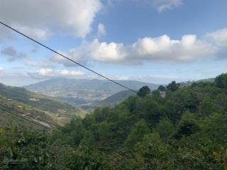 Chính chủ cần bán đất nn ven đà lạt view săn mây, đồi thông