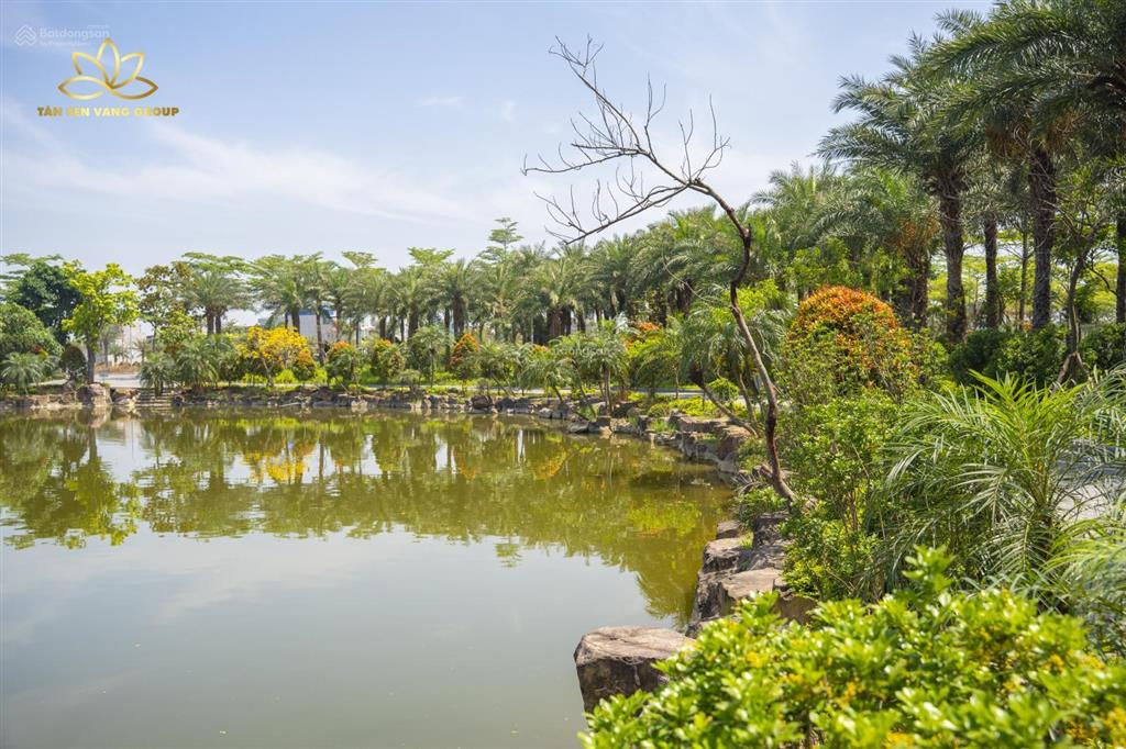 Chính chủ gửi bán đất vườn hồng cạnh dự án sun group bn, sổ hồng cầm tay,  0326 569 ***