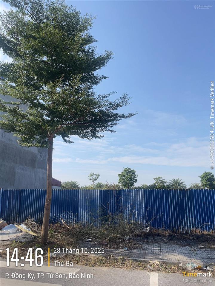 Chính chủ gửi bán đất vườn hồng cạnh dự án sun group bn, sổ hồng cầm tay,  0326 569 ***