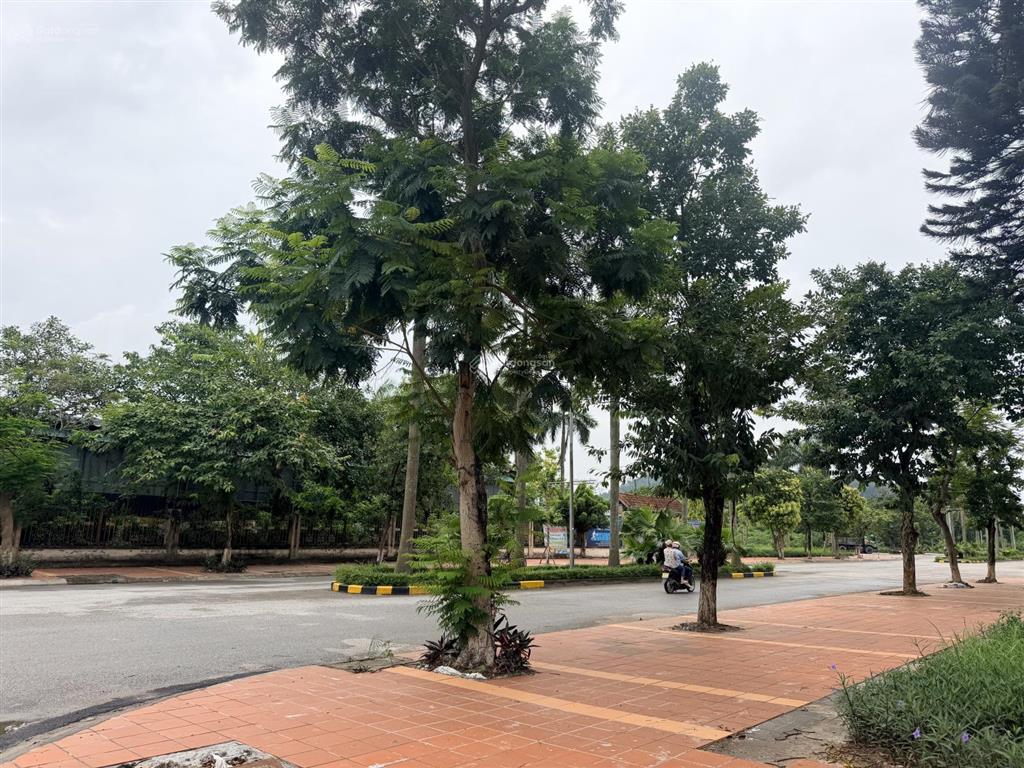 Cc gửi bán đất tặng bt 3 tầng tại vigracera tiên sơn, gần chợ, trường, gần sun group.  0326 569 ***
