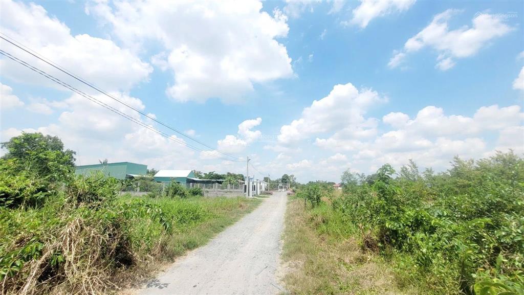 Bán 500m2 đất vườn đường xe hơi tại xã mỹ lộc, cần giuộc, la giá 1 tỷ 200tr shr sổ hiện thị lối đi