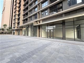 Bán shop chân đế vip lô góc s6 dt 117,9m, vị trí đẹp dễ cho thuê, giá ib riêng cực tốt  0355 312 ***