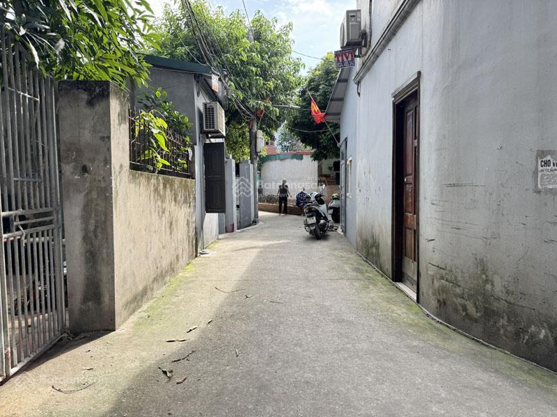 Đi bộ ra chợ vàng! bán lô góc 63,2m² thôn cam  gia lâm, mặt tiền nở hậu cực đẹp
