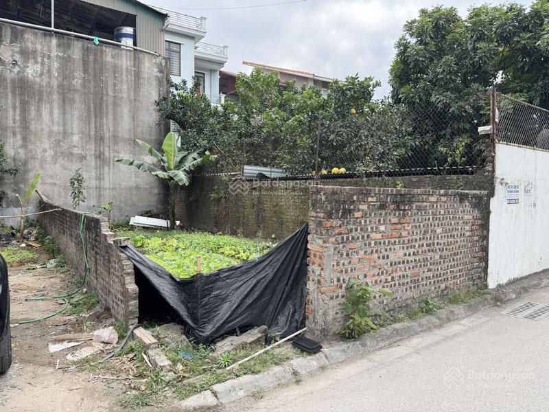 Bán đất lô góc mặt đường đông dư 46,6m2, mặt đường 5m ô tô tránh, cách cầu thanh trì 500m