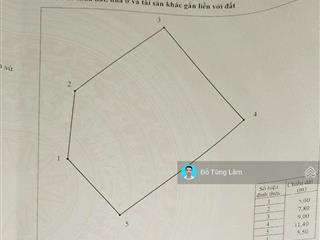Bán 95,8m2 lô góc đất đấu giá đình tổ, bắc ninh. giáp ranh gia lâm, cách 200m ra đường vành đai 4