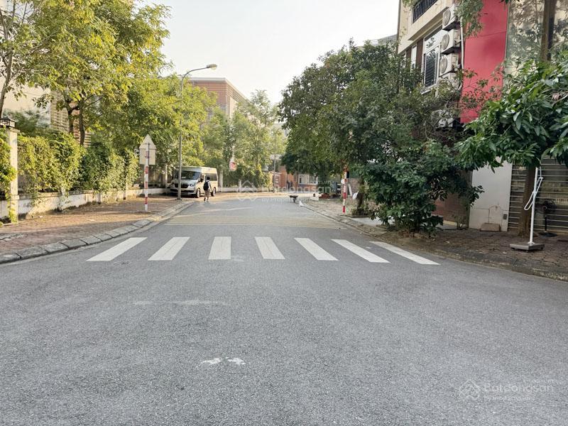 Bán đất mặt phố nguyễn khắc viện 50m², lô góc, đường 13m, ngay sát trường chu văn an