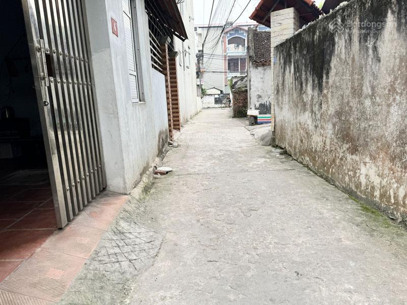 Bán đất phúc lợi long biên 61,5m2 nở hậu, cách đường ô tô tránh 20m, sổ đỏ chính chủ