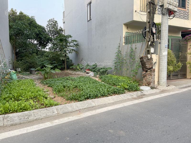 Bán đất mặt đường ngọc động 62,9m2, mặt tiền 4,1m, kinh doanh tốt, sát vinhomes ocean park