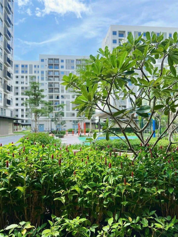 Bán gấp căn 51m² block b1 ehome southgate