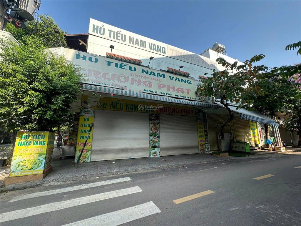 Nhà bán đường mặt tiền trương vĩnh ký, 4.1m x 15m, cấp 4, giá 13.3 tỷ