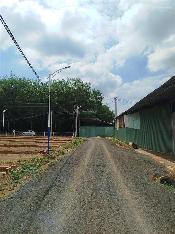 Còn 1 lô minh lập, nha bích, đồng nai 217,5m2 (5,02x43, 52m2) , thổ cư 100m2, shr. giá chỉ 395tr