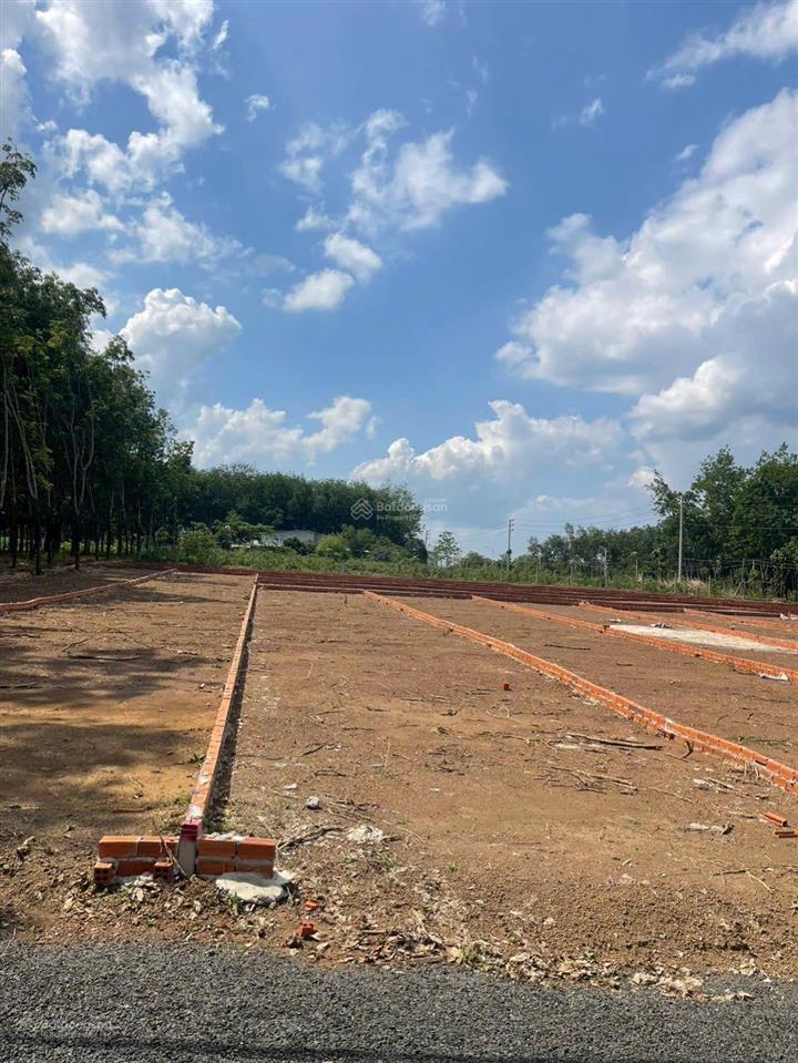 Còn 1 lô minh lập, nha bích, đồng nai 217,5m2 (5,02x43, 52m2) , thổ cư 100m2, shr. giá chỉ 395tr