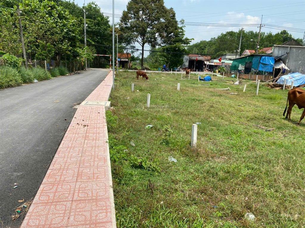 Bán đất đường nguyễn thị rành, gần địa đạo củ chi, gần vin củ chi diện tích 86m2 giá 2.1 tỷ