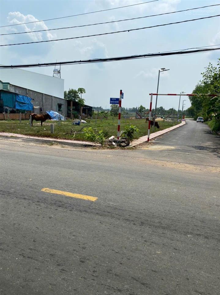 Bán đất đường nguyễn thị rành, gần địa đạo củ chi, gần vin củ chi diện tích 86m2 giá 2.1 tỷ