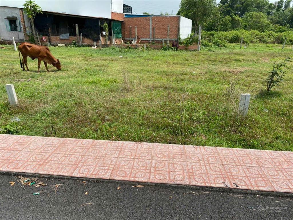 Bán đất đường nguyễn thị rành, gần địa đạo củ chi, gần vin củ chi diện tích 86m2 giá 2.1 tỷ