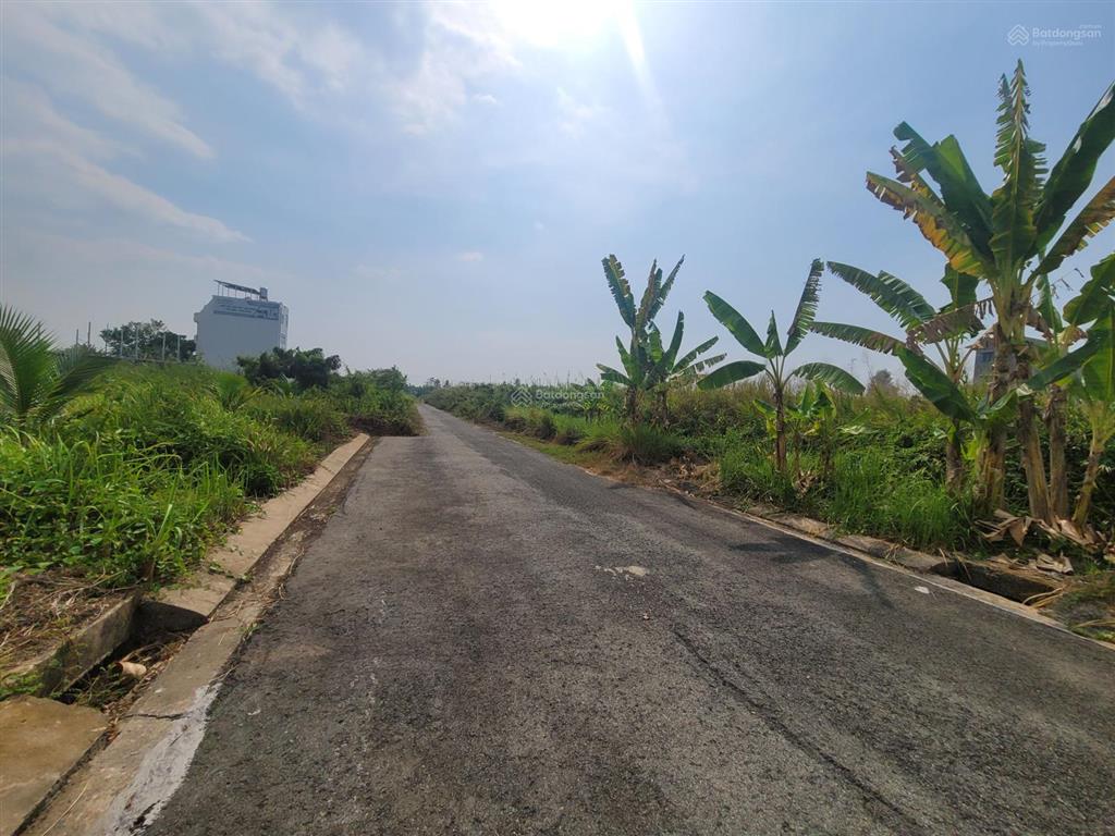 Siêu phẩm 100m2 sổ hồng sẵn, ngang 6m, dt 6 x 16,6m giá chỉ 7,3 tỷ