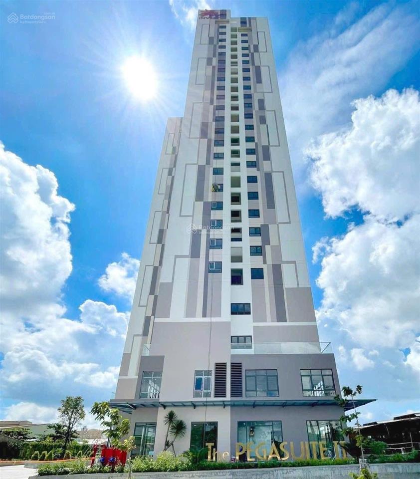 Bán căn 1pn+ chung cư mới the pegasuite 2  sổ hồng riêng  ht vay  tầng trung  nhà đẹp mới