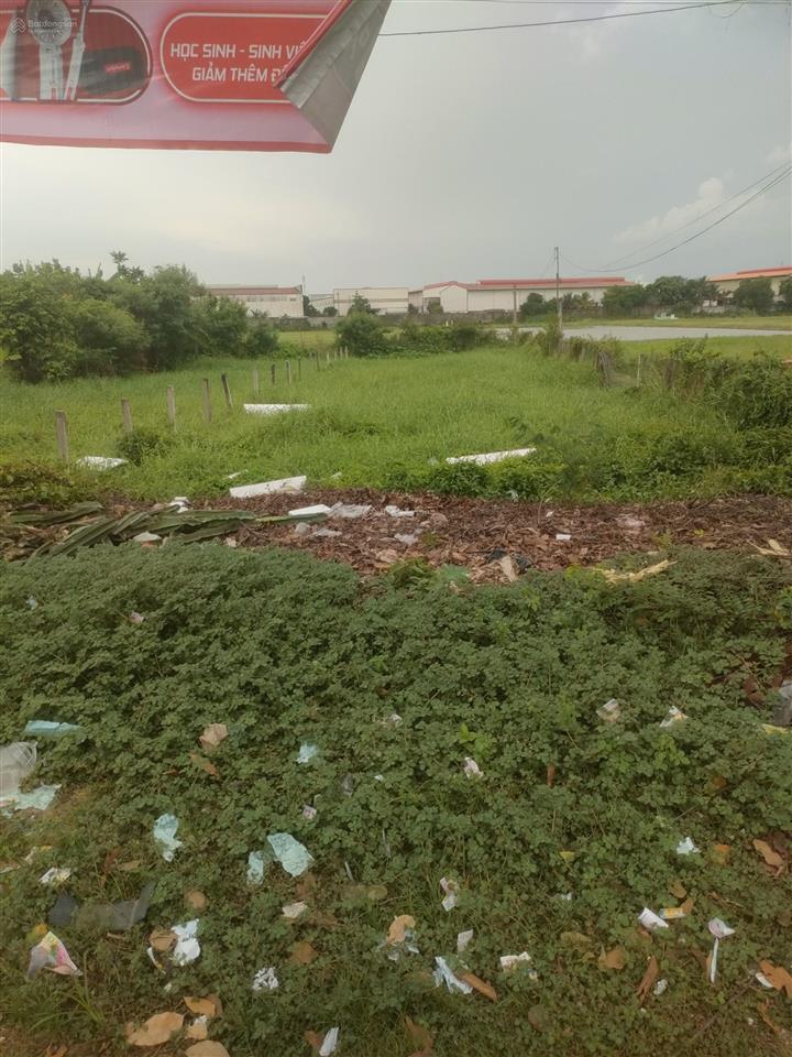 494m² đất thổ mặt tiền phan văn mãng kp 9 tt bến lức