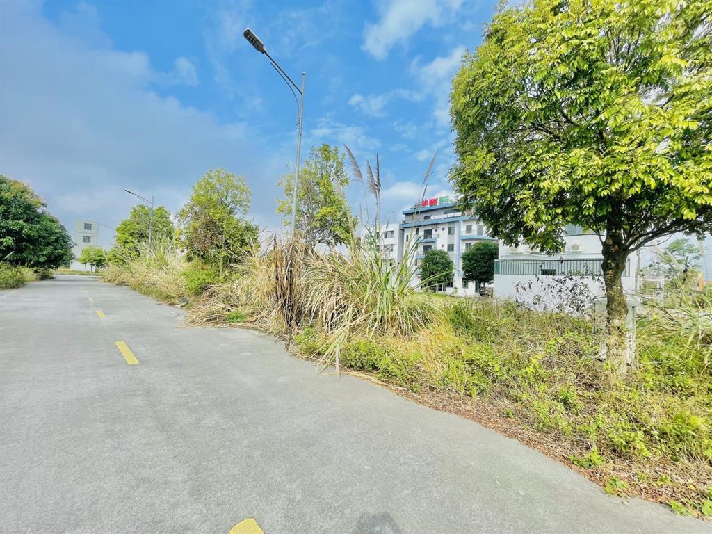 Thái huy cập nhật giỏ hàng đẹp, t7/2026 khu bv. việt đức, bạch mai cơ sở hà nam (ninh bình)