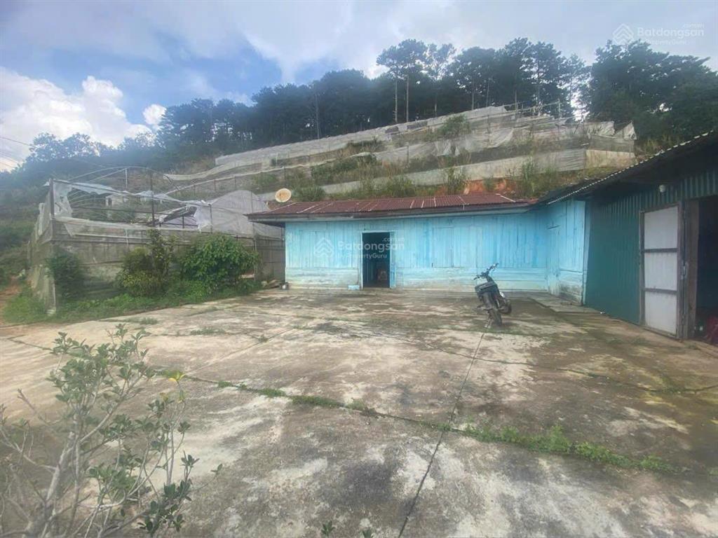 Siêu phẩm view đồi cao săn mây nhìn toàn cảnh thành phố đà lạt
