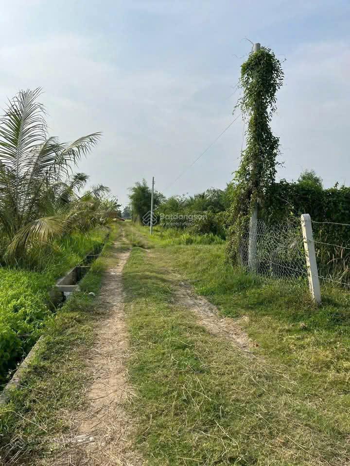 Chạm đáy 1000m2 đất vườn chỉ 1,25 tỷ cách cao tốc chỉ 1,5km