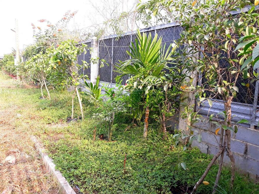 Chính chủ cần bán đất xã tân quý tây, bình chánh, tp. hồ chí minh.  0908 132 ***