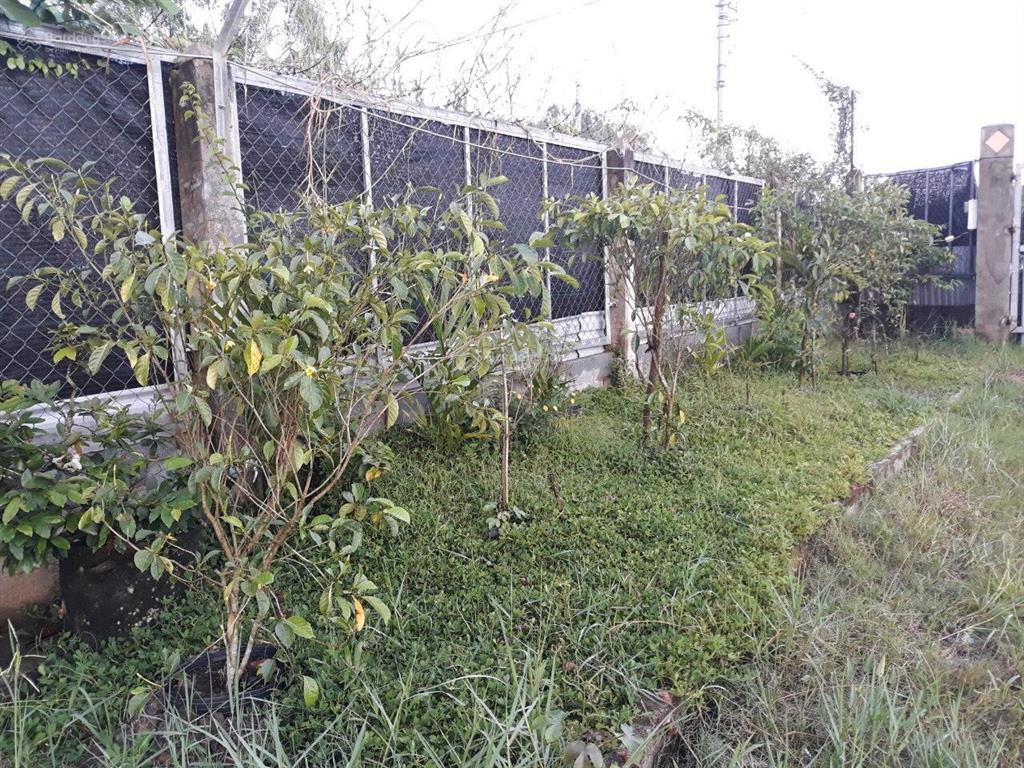 Chính chủ cần bán đất xã tân quý tây, bình chánh, tp. hồ chí minh.  0908 132 ***