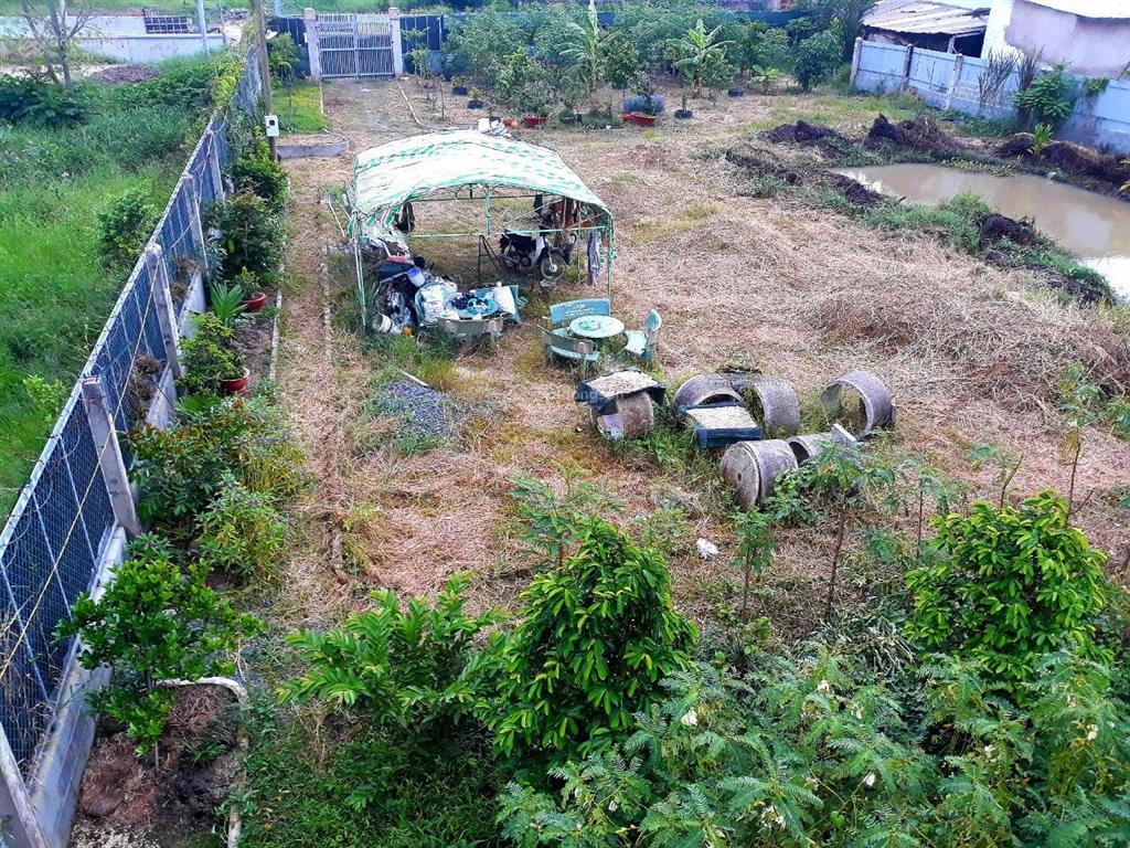 Chính chủ cần bán đất xã tân quý tây, bình chánh, tp. hồ chí minh.  0908 132 ***