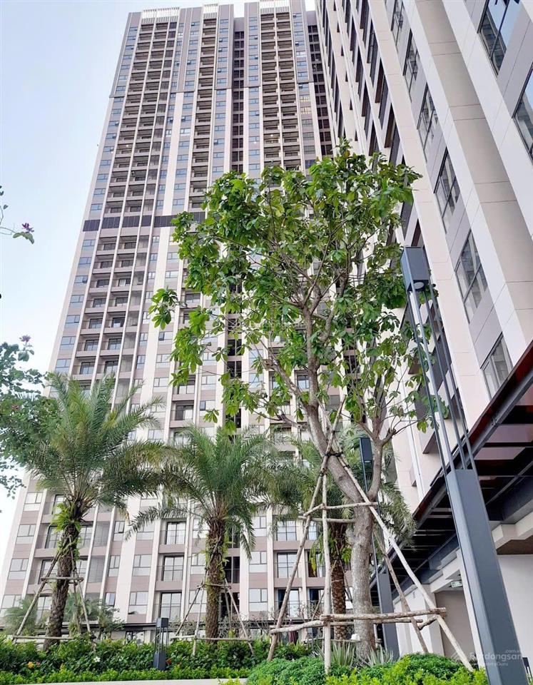 Bán cc opal skyline diện tích 38,1m2 thiết kế (1pn+,1wc) cách 500m2 kcn vship1 thuận an hcm