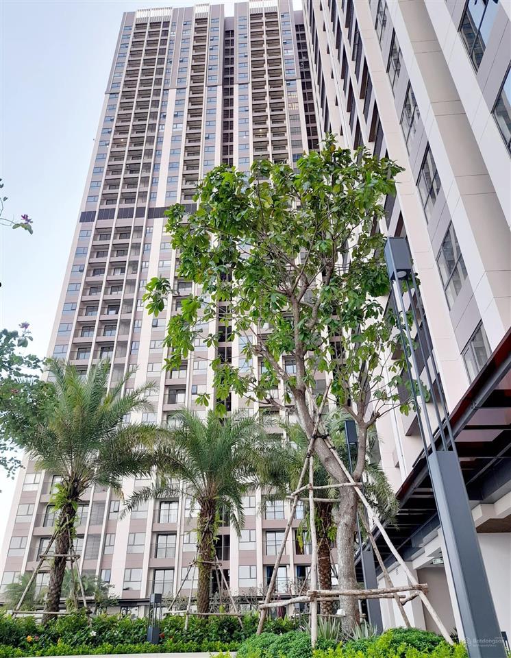 Cho thuê căn hộ cao cấp opal skyline cách khu công nghiệp vsip 5p, dt 65m2 (2pn, 2wc)