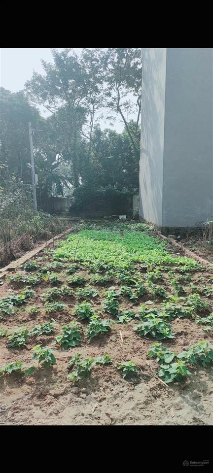 Bán 68m² có 50m² thổ cư oto vào đất xã hưng đạo đại thành quốc oai hà nội