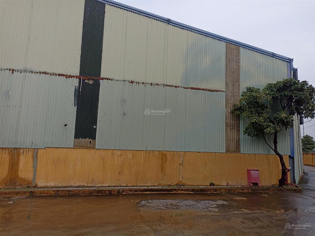 Cho thuê 186 m2 nhà kho tại cụm công nghiệp trại gà phú minh, phú diễn