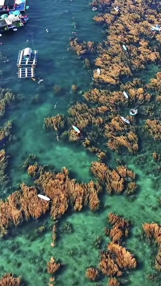 Bán nhà mặt biển hòn khô, xã nhơn hải, quy nhơn