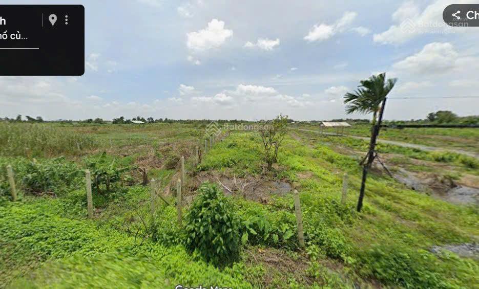 500m2 đất trồng cây xã bình mỹ chỉ 1.5 tỷ